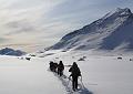 Norway 830xx